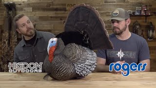 Higdon Apex Strutting Turkey Decoy [upl. by Emmons]