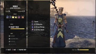 ESO My 2020 Khajiit Magicka Templar PVE DPS Build Mothers Sorrow False God [upl. by Zehc]