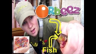 Orbeez Fishing Challenge Best Fishing Bait Of 2018 [upl. by Modla]