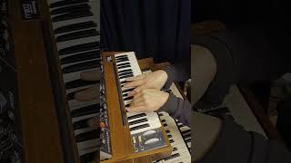 Playing the mono synth using both hands moogsynthesizer progrock [upl. by Hcurab]