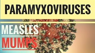 Paramyxoviruses  Measles MumpsRSVCroup [upl. by Nwatna50]