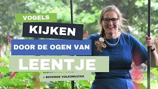 Vogels Door de Ogen van Leentje 📷  Nederlandse Volksmuziek op de Achtergrond [upl. by Amsirahc]