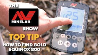 How to find Gold with the Minelab EQUINOX 800 Metal Detector [upl. by Eidak]