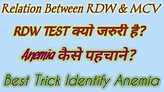 Relation between RDW and MCV  RDW blood test MCV blood test [upl. by Ydaj]