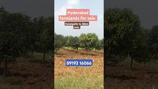 narsapur farmlands hyderabad near farmlands for sale farming plots in hyderabad [upl. by Corb]