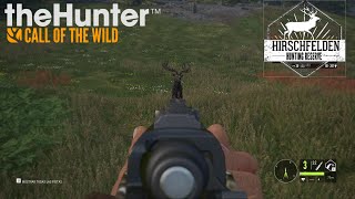 Hirschfelden Corzo y Ciervo Común  TheHunter Call of the Wild [upl. by Ohcamac]