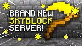 BRAND NEW SKYBLOCK SERVER OF 2024  Minecraft Skyblock  18  121 [upl. by Appledorf39]