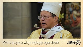 Wstrząsająca wizja pękającego dębu  kard Grzegorz Ryś [upl. by Arick]