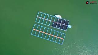 Aquaculture 20  Revolutionizing Fish Farming [upl. by Linnea]