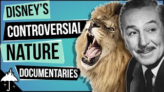 Disneys True Life Adventure Nature Documentary Films Explained [upl. by Giefer53]