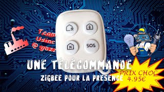 La télécommande Zigbee ENKI sur zigbee2mqtt [upl. by Notslar723]