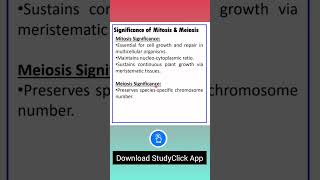 Significance of Mitosis and Meiosis  Cell Cycle and Cell Division Class 11 Chapter 10 Part 10 [upl. by Laiceps602]