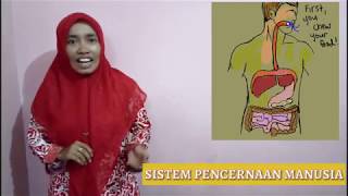 Video Sistem Pencernaan Manusia Kelas 5 SD [upl. by Anaira]