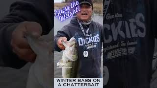 Bass Fishing Lake Eufaula in a February Cold Winter fishing fish bassfishing fishingvideo short [upl. by Isidore]