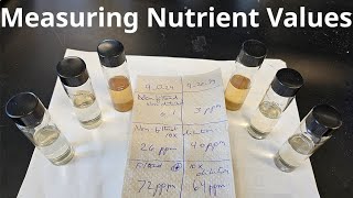 Measuring the Nitrate Values of Aquaponic System Waste Post Mineralization [upl. by Shaine]