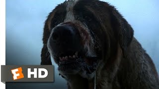 Cujo 1983  Movie Review [upl. by Acitel]