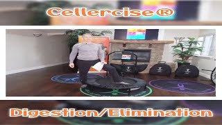 Digestion amp Elimination  Cellercise® [upl. by Delly]