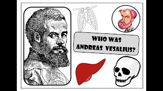 Medicine through time c1250present Who was Andreas Vesalius [upl. by Jillana]