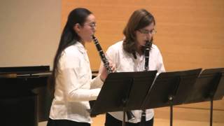 Sonata In C K 296 Mozart arr Himie Voxman  Clarinet Duet [upl. by Marigolde]