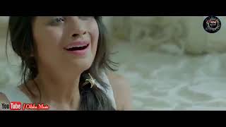 Kemiti Bhulibi Se Abhula Dina Hrudaya Hina Female Official Video Song Amrita Nayak [upl. by Hartmunn107]