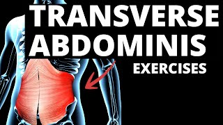 7 Effective TRANSVERSE ABDOMINIS Exercises WORK IMMEDIATELY [upl. by Ander173]