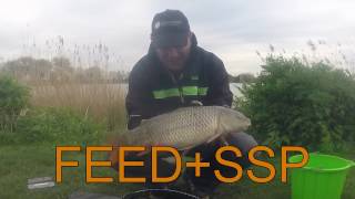 FEEDSSP Amazing pellet waggler bait [upl. by Hagood]