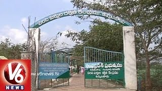 Uppalapadu Birds Sanctuary Attracts Tourists  Guntur [upl. by Ibrahim]