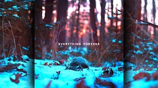 Sam Gorski  EVERYTHING FOREVER Full Album [upl. by Sivrat785]