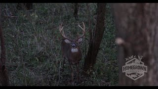 KENTUCKY MONSTER WHITETAIL BOW KILL by multi generation farmer and his high school hunting buddy [upl. by Nauwtna487]