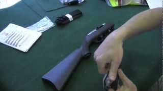 Ruger 1022 Takedown Review [upl. by Caro]