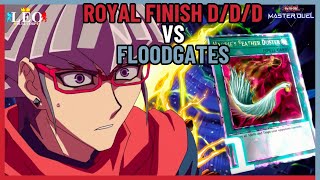 DDD vs Floodgates YuGiOh Master Duel [upl. by Westlund]