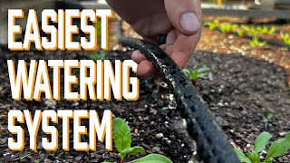 Easiest Garden Irrigation System [upl. by Tunnell]