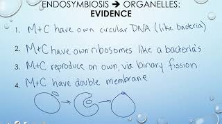 Protist Evolution  Classification Protists 23 [upl. by Fitton]