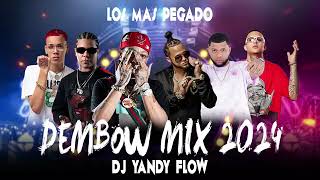 DEMBOW MIX 2024 VOL 12 DJYANDYFLOW ❌GOOATKING [upl. by Gilbertine]