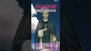 Oración para las mascotas oracionespiritual oraciónpoderosa [upl. by Sweyn546]