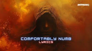 Pink Floyd  Comfortably Numb Lyrics [upl. by Asante]