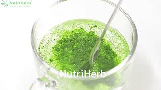 Chlorella Powder [upl. by Aland955]