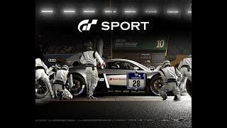 Gran Turismo Sport  Pit Stop No HUD [upl. by Sedberry]