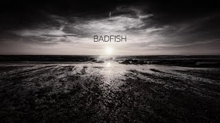 Badfish Sublime Cover  Michael Walls [upl. by Marcie]