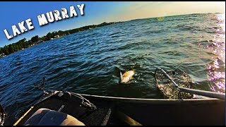 LIMIT OF LAKE MURRAY STRIPERS ON A VERY WINDY DAY [upl. by Sugna]