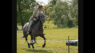 Swedens greatest horseback archer 2013 [upl. by Libove]