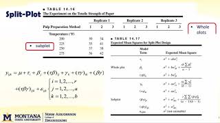 DOE 141 split plot intro v1 [upl. by Rene]