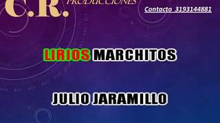 LIRIOS MARCHITOS JULIO JARAMILLO PISTA KARAOKE DEMO [upl. by Atik]