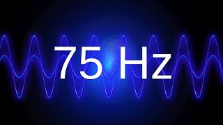 75 Hz clean pure sine wave BASS TEST TONE frequency [upl. by Ameh]