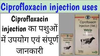 ciprofloxacin injection uses । vetcip injection uses in Hindi । vetcip किस बीमारी में प्रयोग करें।। [upl. by Pomona]