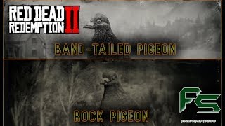 Red Dead Redemption 2  Band Tailed Pigeon amp Rock Pigeon Location [upl. by Jarret179]