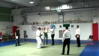 Karate Shin Budo tameshiwari [upl. by Oizirbaf196]