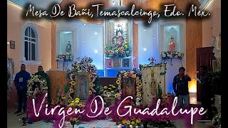 VIRGEN DE GUADALUPEMESA DE BAÑI 2023 [upl. by Rosalinda]