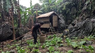 30 days of adventure in the forest building a shelter and a beautiful vegetable garden [upl. by Marilyn948]