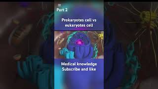 Prokaryotes cell vs eukaryotes cell biologyclass12 biology animation [upl. by Agathe]